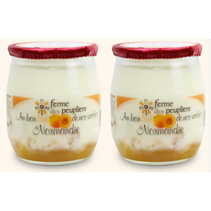 YAOURT ABRICOT X 2 FERME...