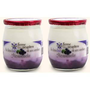YAOURT MYRTILLE X 2 FERME...