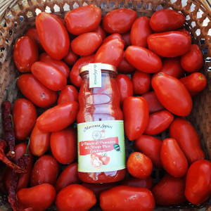 SAUCE TOMATE CALABRAISE...