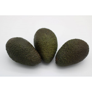 AVOCATS BIO X3